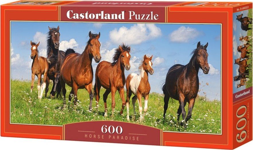 CASTORLAND Panoramatické puzzle Běžící stádo koní 600 dílků - obrázek 2