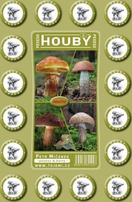 MIČÁNEK Rodinná hra Pexeso: Houby - obrázek 1