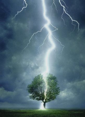 EUROGRAPHICS Puzzle Strom zasažený bleskem 1000 dílků - obrázek 1