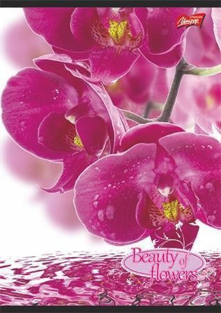Blok na psaní "Beauty of Flowers", linkovaný, drátěná kroužková vazba, A4, 80 listů, UNIPAP - obrázek 1