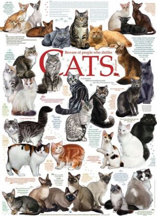 COBBLE HILL Puzzle Kočičí hlášky 1000 dílků - obrázek 1