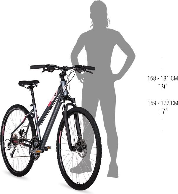 Kellys CLEA 10 28" - model 2019 Grey Pink - S (17'') - obrázek 3
