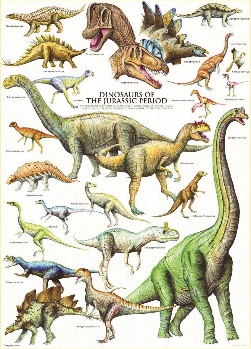 EUROGRAPHICS Puzzle Svět dinosaurů: Jura 1000 dílků - obrázek 1