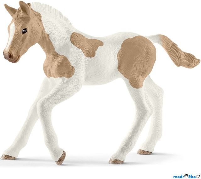 Schleich - Kůň, American Paint Horse hříbě - obrázek 1