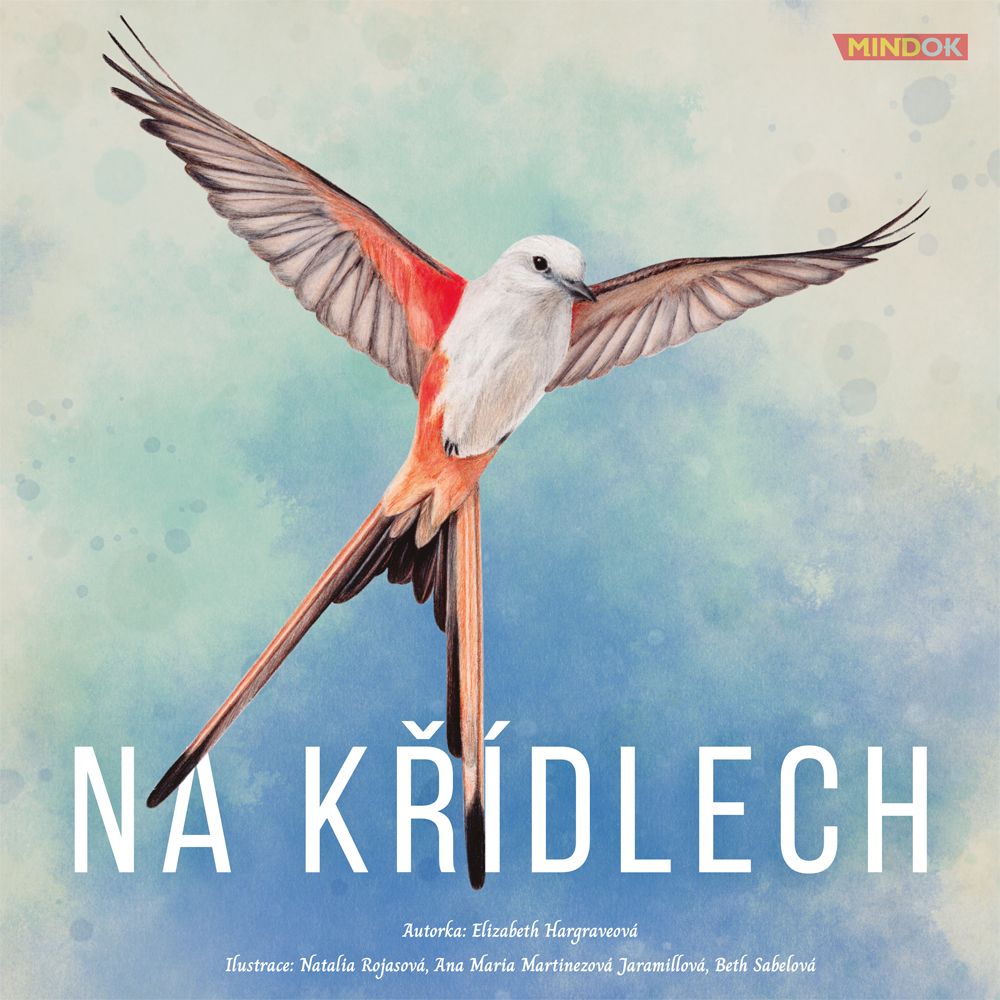 Mindok Na Křídlech - obrázek 1