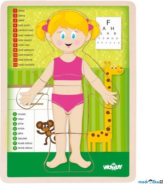 Puzzle výukové - Anatomie, Lidské tělo holka CZ (Woody) - obrázek 1