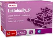 Dr.Max Laktobacily 6 60 tobolek - obrázek 1