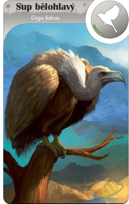 REXhry Cardline Svět zvířat - obrázek 2