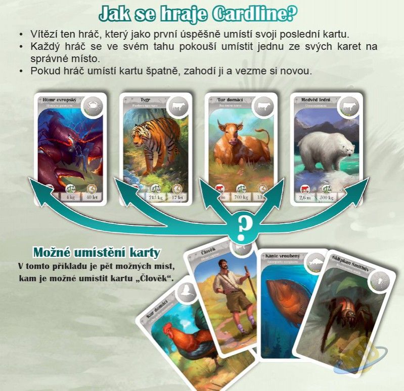 REXhry Cardline Svět zvířat - obrázek 3