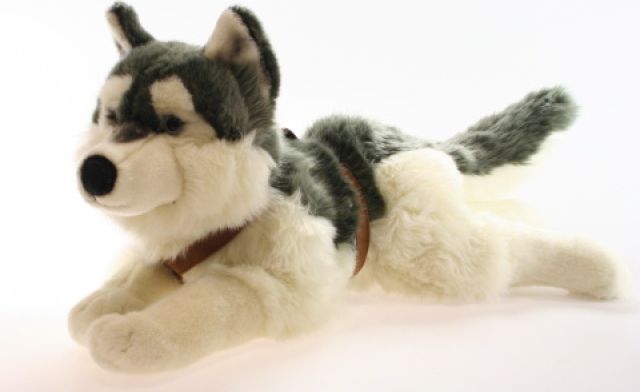 Plyš Husky - obrázek 1
