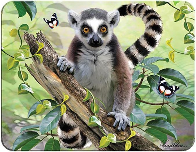 Magnet 3D Lemur - obrázek 1