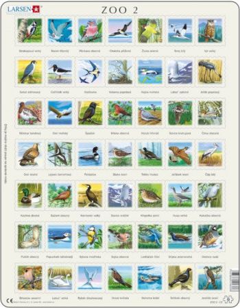 LARSEN Puzzle Ptáci (anglicky) 49 dílků - obrázek 1