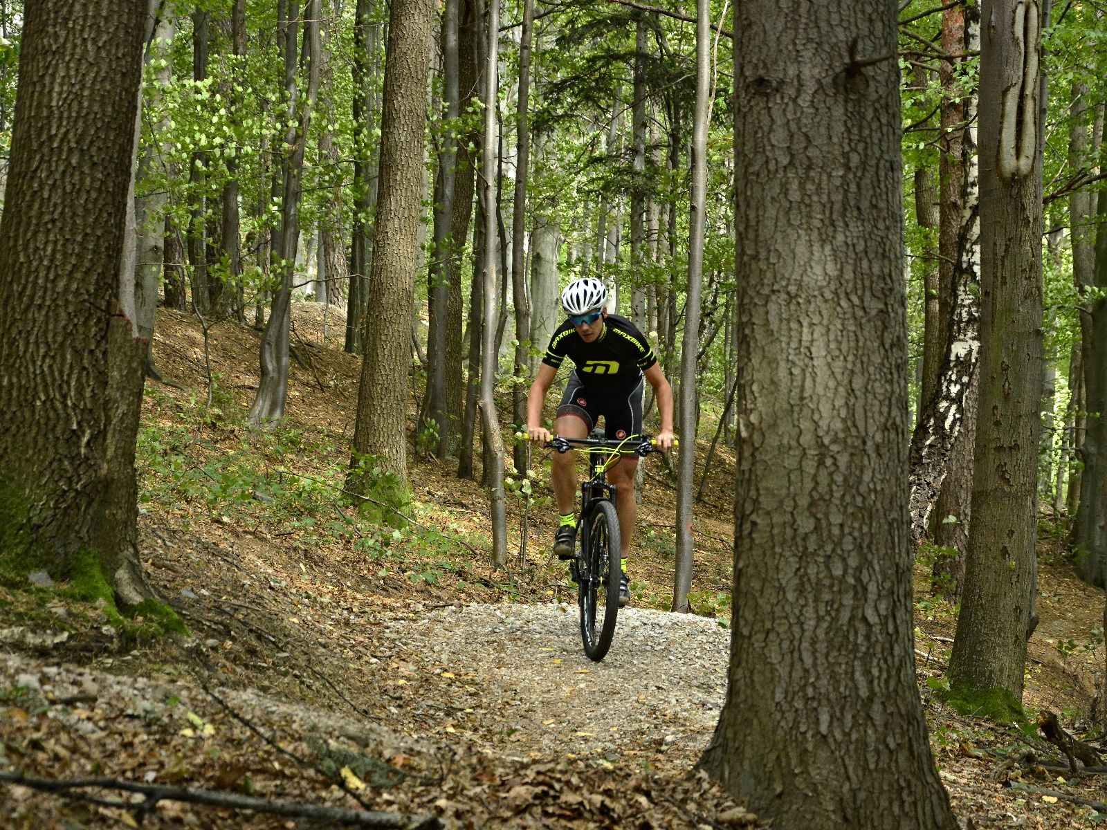 Maxbike Junior 20 2019 - obrázek 3