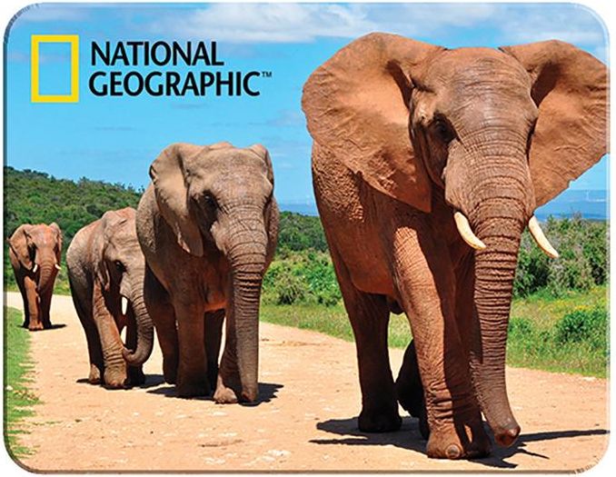 Magnet 3D Afričtí sloni - obrázek 1