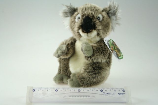Plyš Koala - obrázek 1