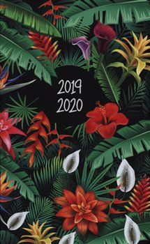 18měsíční diář Petito – Tropic 2019/2020 - obrázek 1