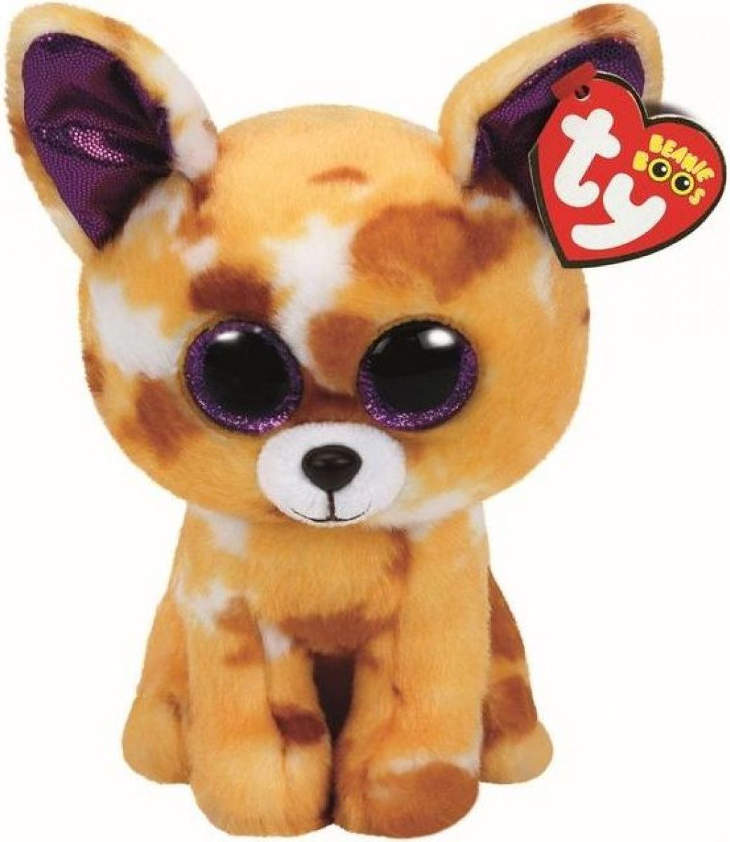 Beanie Boos PABBLO 24 cm čivava - obrázek 1