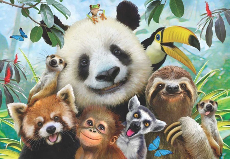 ANATOLIAN Puzzle Selfie zvířátek ze zoo 500 dílků - obrázek 1