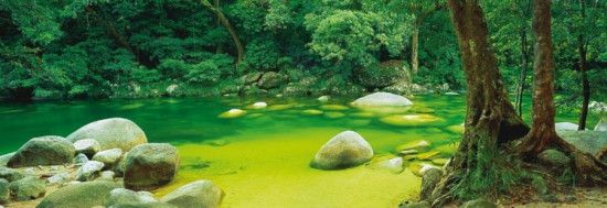 SCHMIDT Panoramatické puzzle Mossman Gorge, Austrálie 1000 dílků - obrázek 1