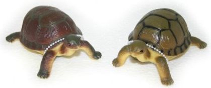 Želva, 2 druhy, 12 cm - obrázek 1
