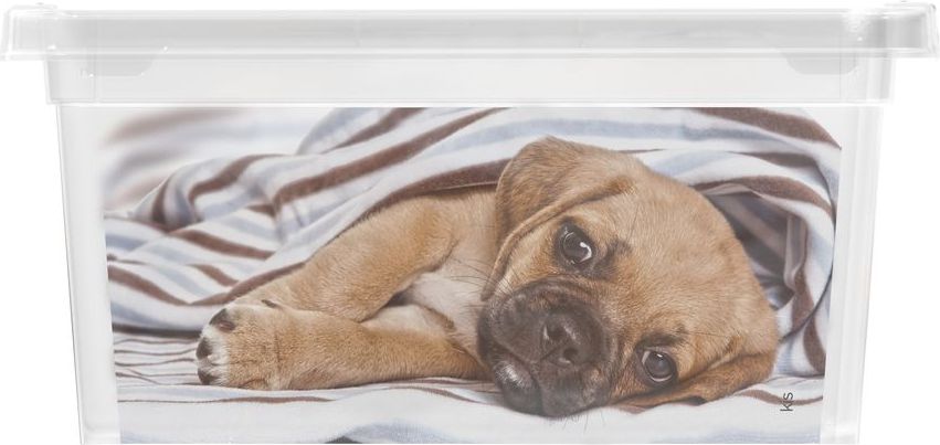 KIS Plastový úložný box C-Box Puppy & Kitten XXS, 2 L - obrázek 1
