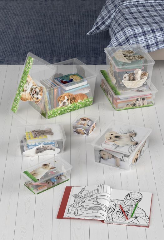 KIS Plastový úložný box C-Box Puppy & Kitten XXS, 2 L - obrázek 2
