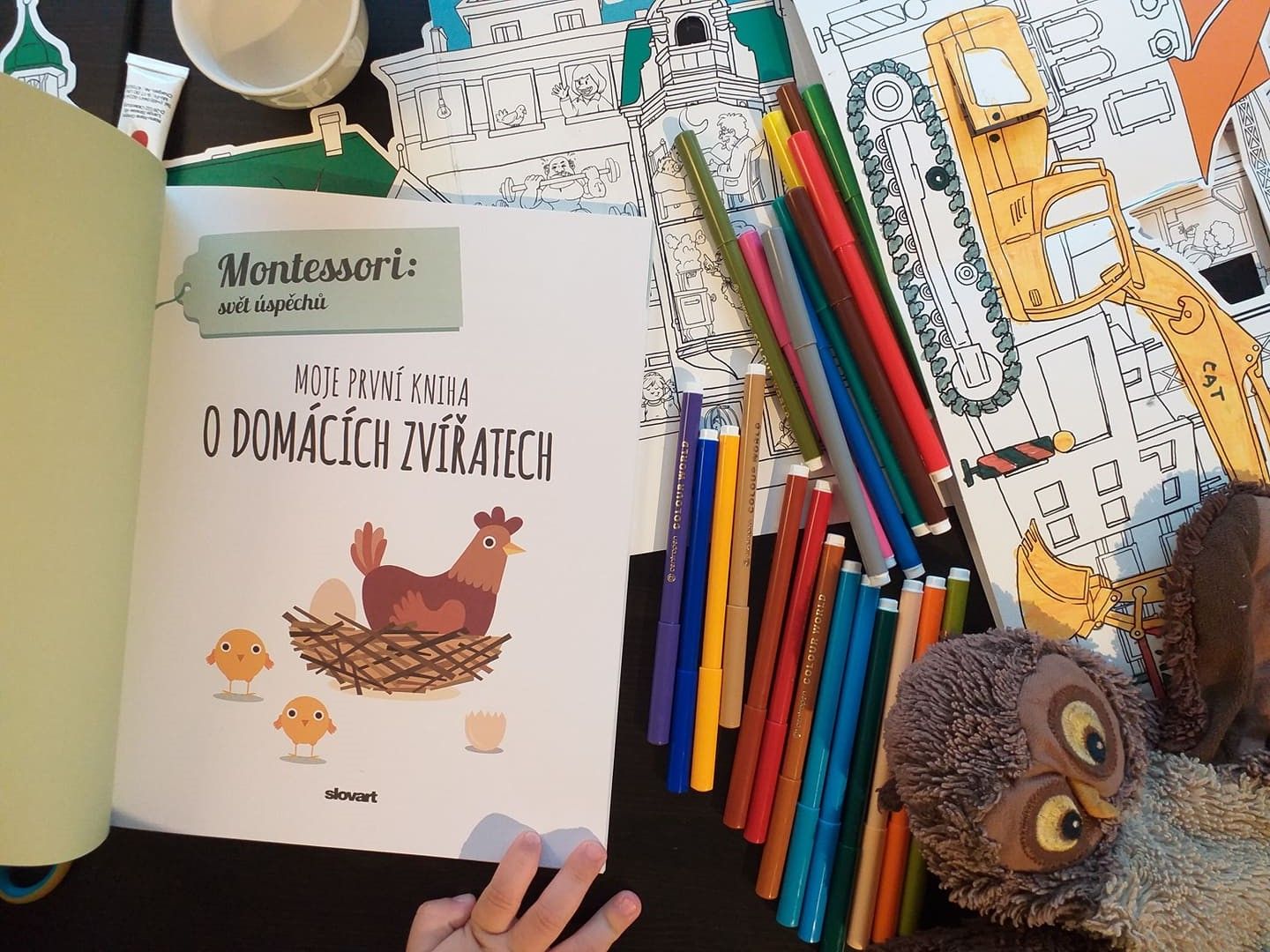 Slovart Moje první kniha o domácích zvířatech (Montessori: Svět úspěchů) - obrázek 3