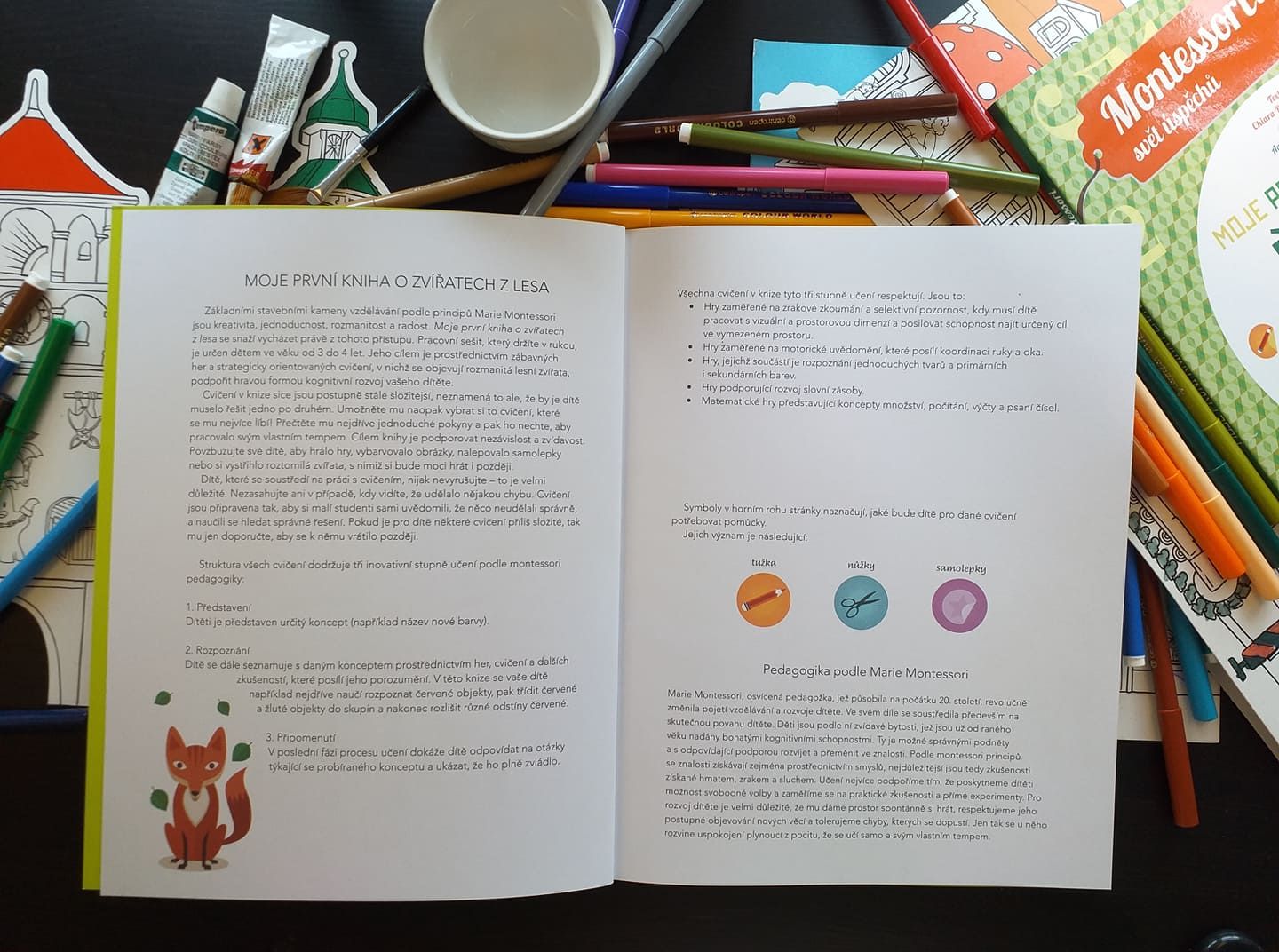 Slovart Moje první kniha o zvířatech z lesa (Montessori: Svět úspěchů) - obrázek 3