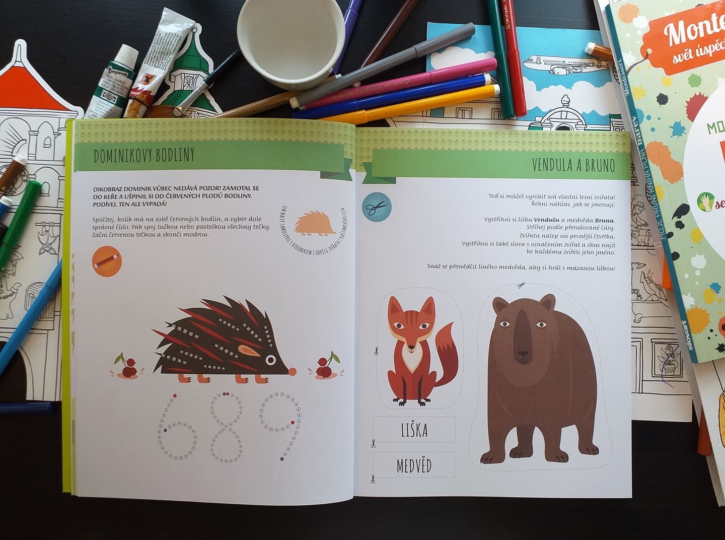 Slovart Moje první kniha o zvířatech z lesa (Montessori: Svět úspěchů) - obrázek 4
