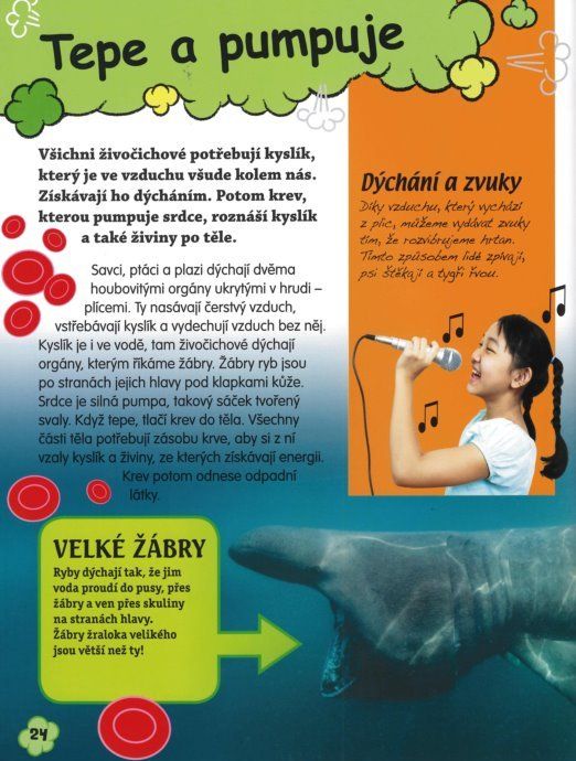 Kniha: Bláznivá věda, Nakladatelství SUN - obrázek 4