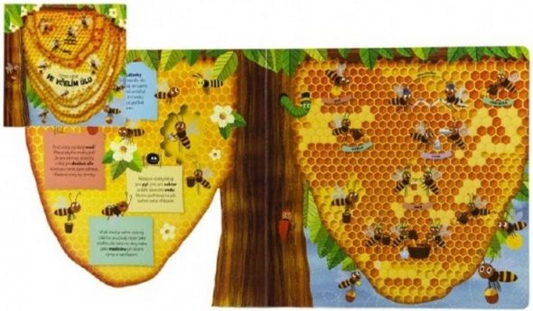 Knížka Co se děje ve včelím úlu 23x23x2cm 3+ - obrázek 1