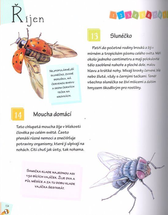 Kniha: 365 zajímavostí o zvířatech, Nakladatelství SUN - obrázek 2