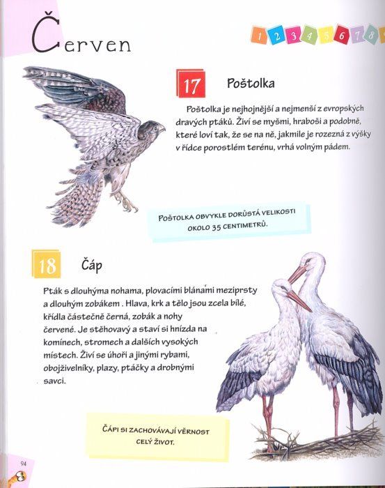 Kniha: 365 zajímavostí o zvířatech, Nakladatelství SUN - obrázek 3