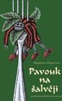 Pavouk na šalvěji - Magdalena Wagnerová - obrázek 1