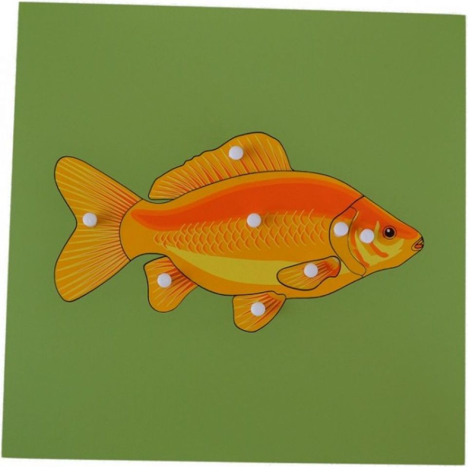 Montessori Vkládací puzzle s kostrou ryby - obrázek 1