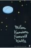 Farewell Waltz - Milan Kundera - obrázek 1
