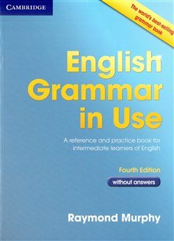 English Grammar in Use - Raymond Murphy - obrázek 1