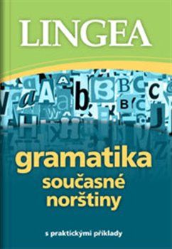 Gramatika současné norštiny - obrázek 1