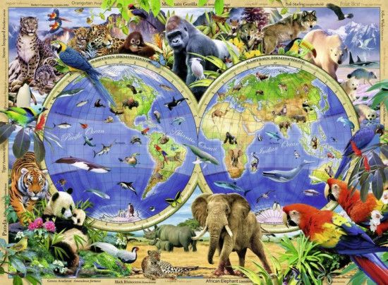 RAVENSBURGER Puzzle Svět divokých zvířat XXL 300 dílků - obrázek 1