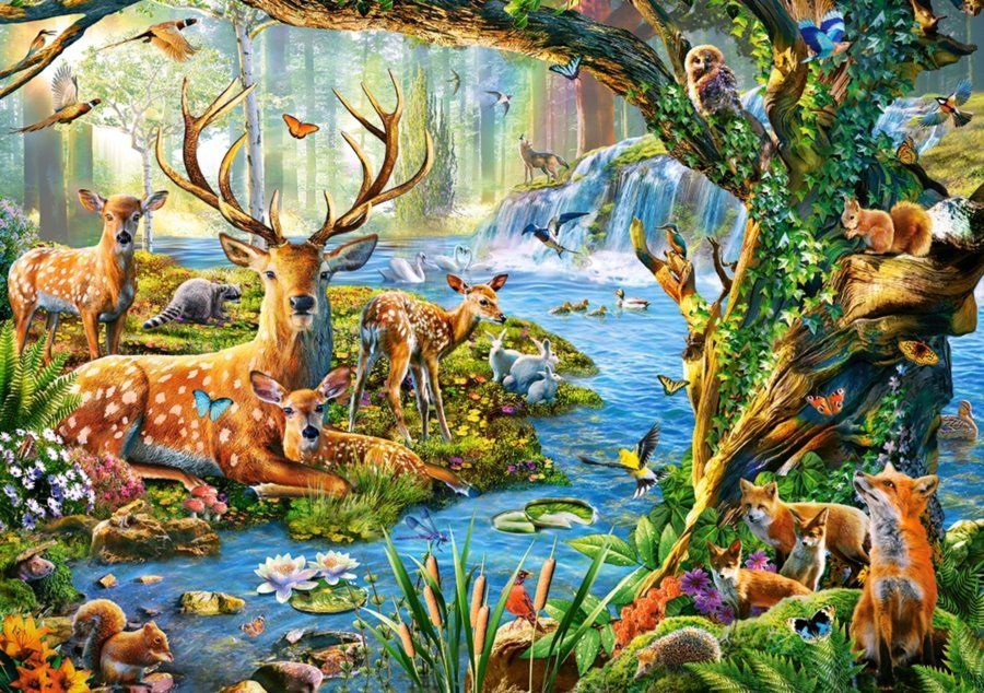 CASTORLAND Puzzle Život v lese 500 dílků - obrázek 1