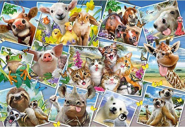 SCHMIDT Puzzle Zvířecí selfie 200 dílků - obrázek 1