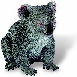 Koala - obrázek 1