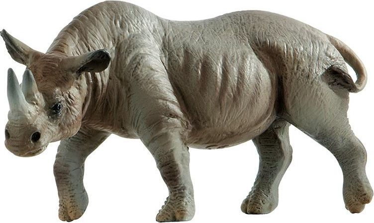 Nosorožec - obrázek 1