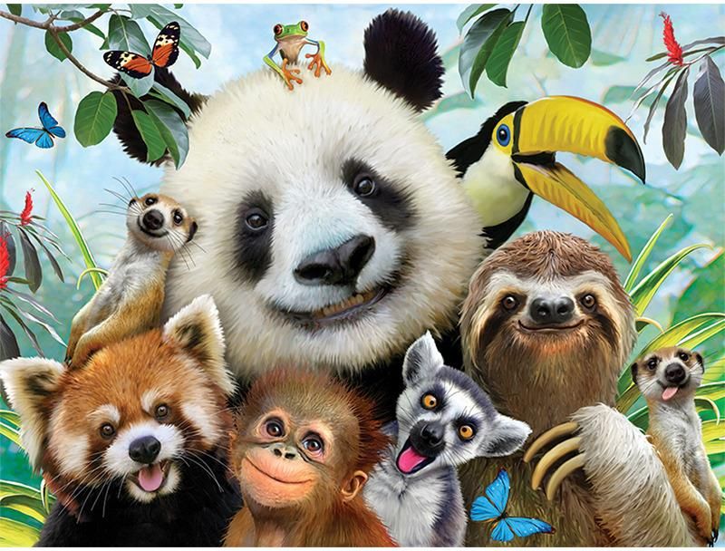 Plakát 3D Zoo Selfie - obrázek 1