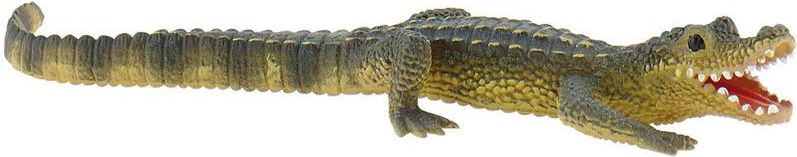 Mládě Aligátora - obrázek 1