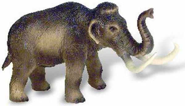 Mamut obří - obrázek 1