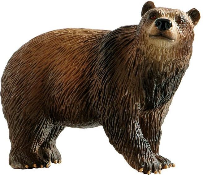 Brown Bear - obrázek 1