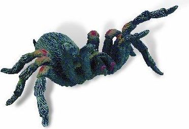 Tarantule - obrázek 1