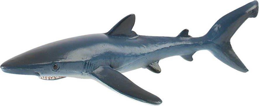 Žralok modrý - obrázek 1