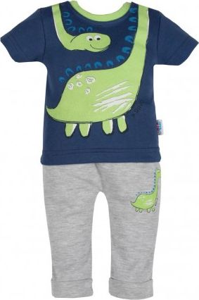 Kojenecké tričko s krátkým rukávem a tepláčky New Baby Dino, Šedá, 80 (9-12m) - obrázek 1